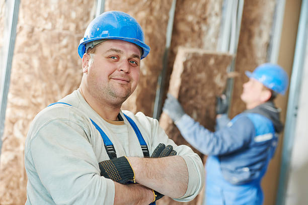 Best Insulation Maintenance and Repair in Watertown Town, MA